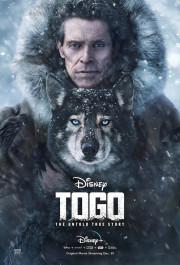 Постер Togo